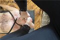 Foto Incontri Mistress Cuneo Julia - 13
