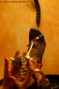 Foto Incontri Mistress Marina Di Carrara Lady De Sade Italy - 6