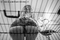 Foto Incontri Mistress Verona Lady Giuliette - 16