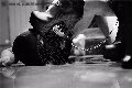 Foto Incontri Mistress Vicenza Madame Jacqueline Domina - 23